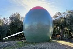 Giant Green Olive, Corning, CA