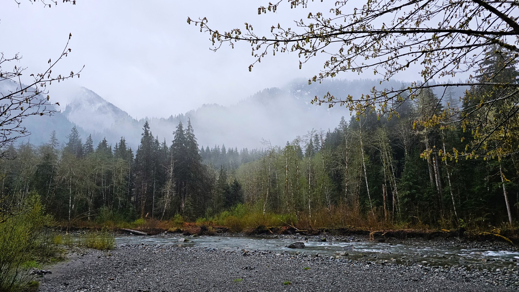 Mt Baker-Snoqualmie NF